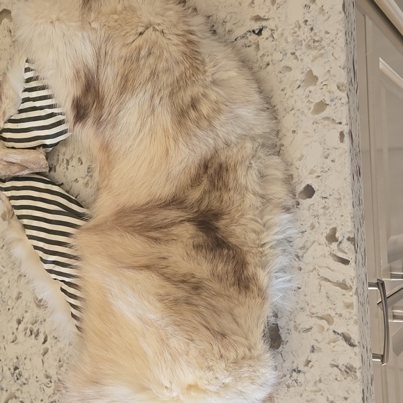 Fox Fur Luxurious 3pcs NWOT Genuine Hat, Cape and Scarf - Picture 7 of 14